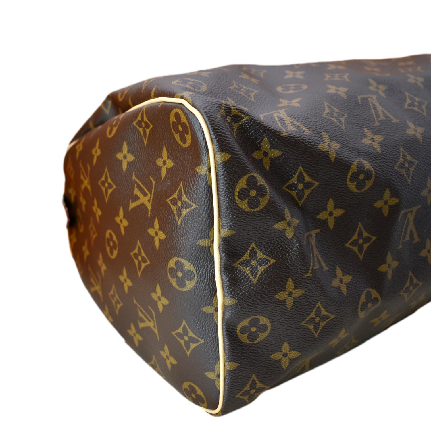 Louis Vuitton // Canvas Leather Speedy Satchel Bag - Pre-owned Luxe Bags -  Touch of Modern
