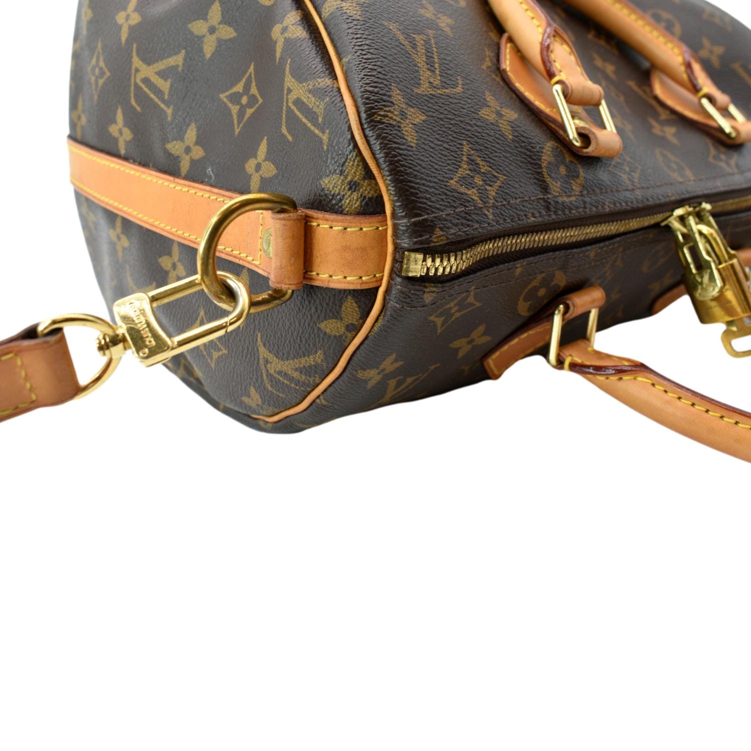 Louis Vuitton Speedy 30 Brown Monogram Idylle Canvas Ladies Handbag - Boca  Pawn