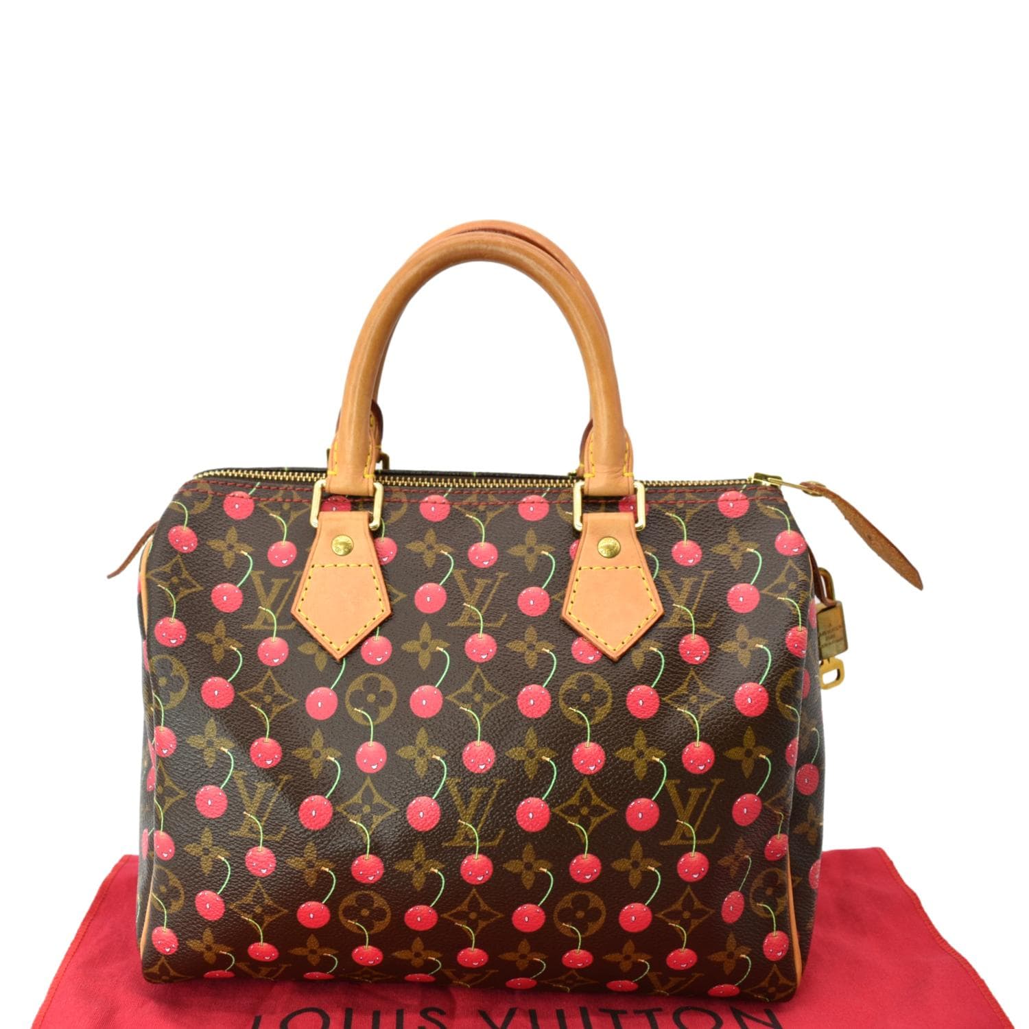 Louis Vuitton cherry bag  Bags, Louis vuitton bag, Purses and handbags