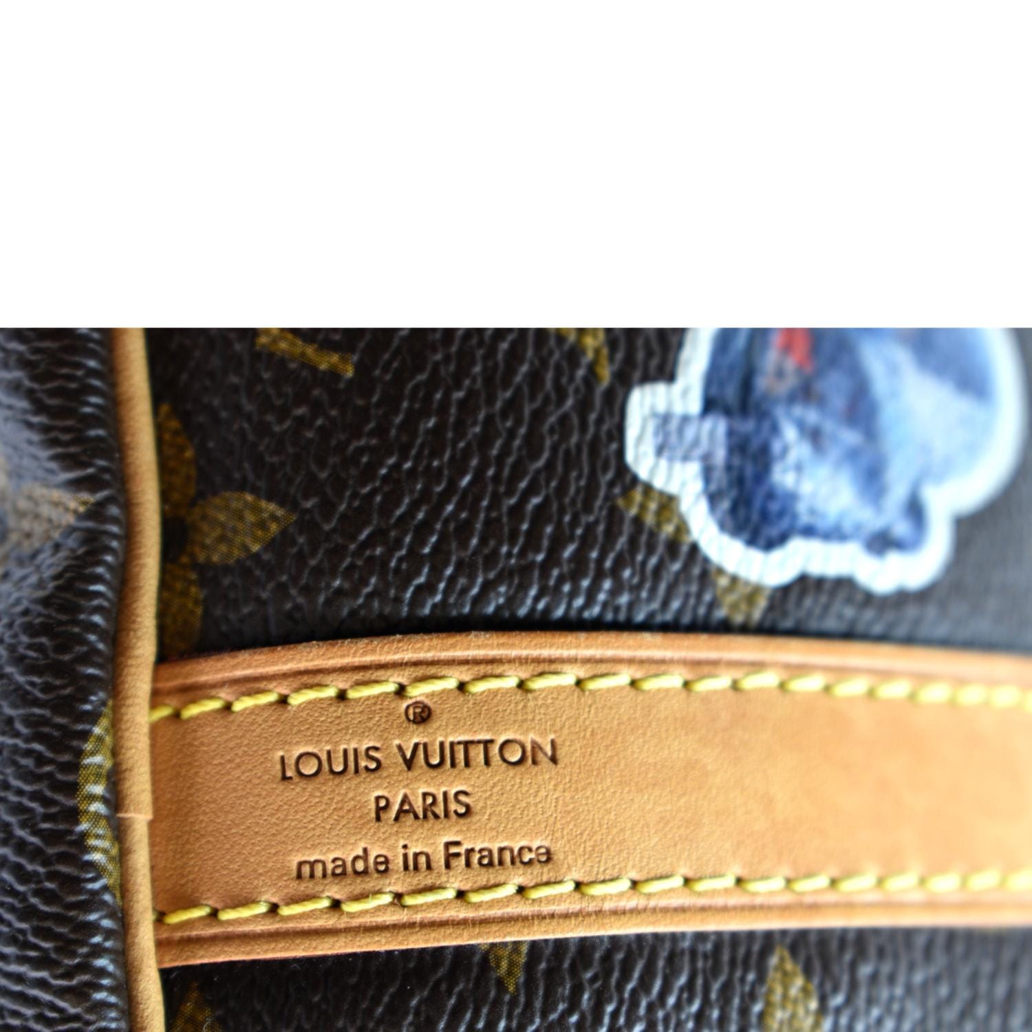 Auth Louis Vuitton Limited Edition Monogram Speedy World Tour Bandouliere 30
