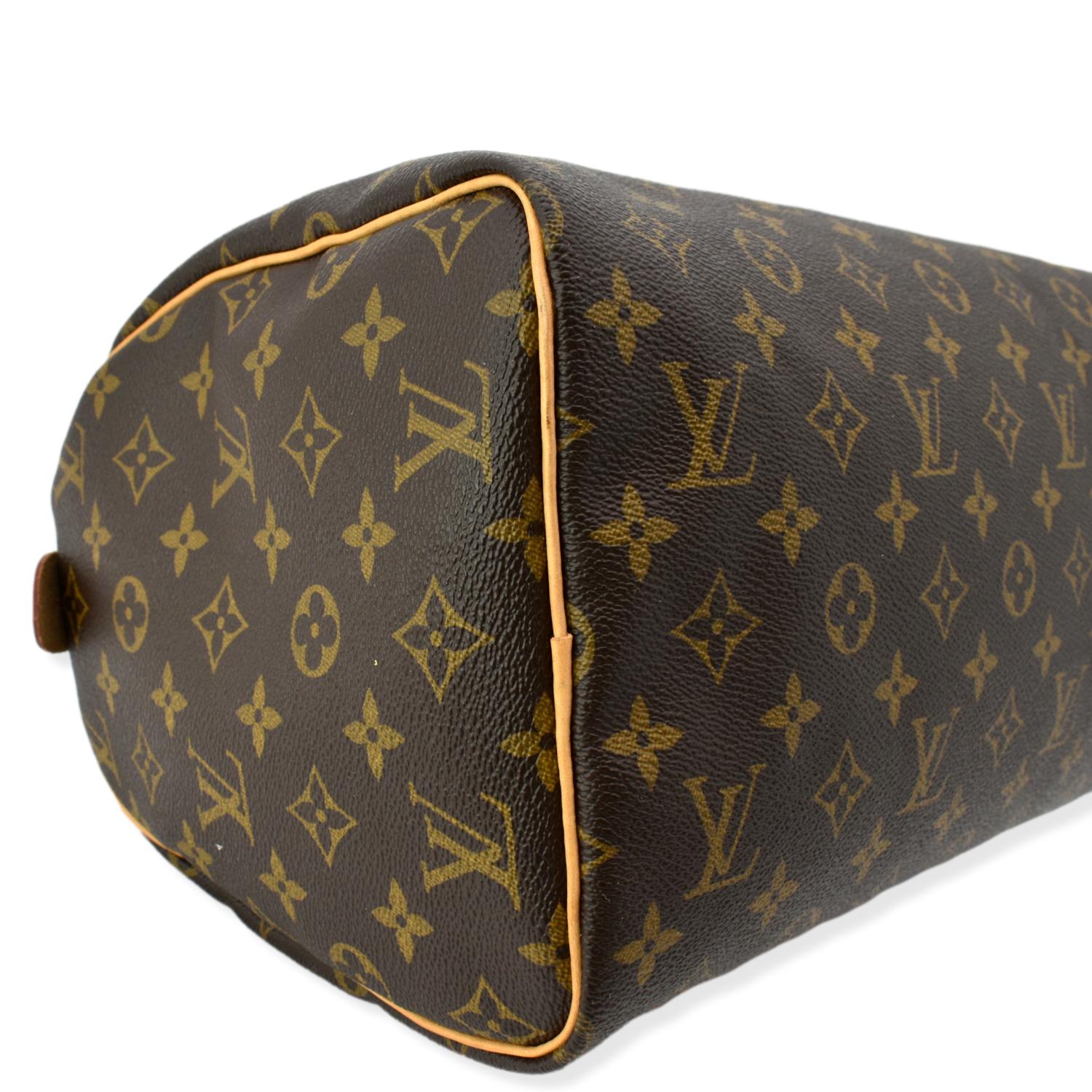 Speedy cloth handbag Louis Vuitton Brown in Fabric - 23884779