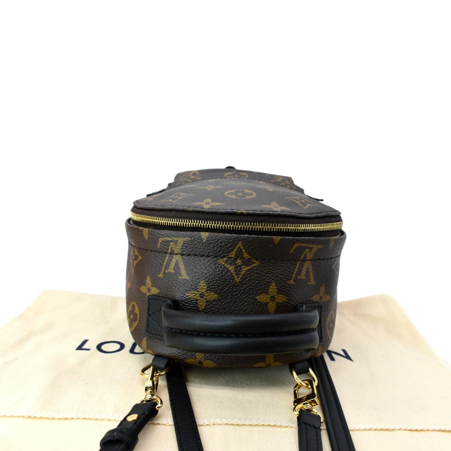 Louis Vuitton Palm Springs Party Bracelet Mini Backpack Monogram