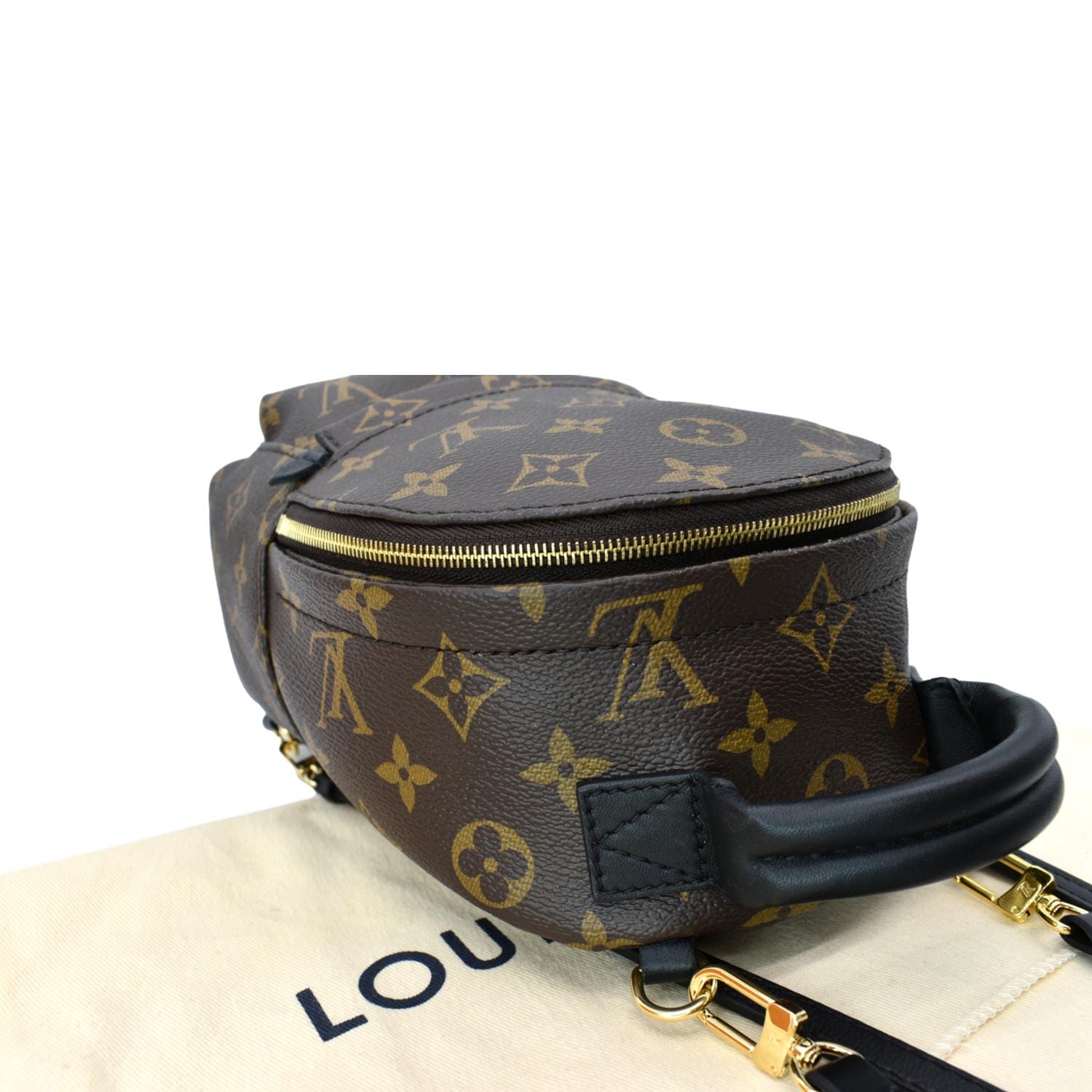 Louis Vuitton Reverse Monogram Mini Palm Springs Brown ref.733555 - Joli  Closet