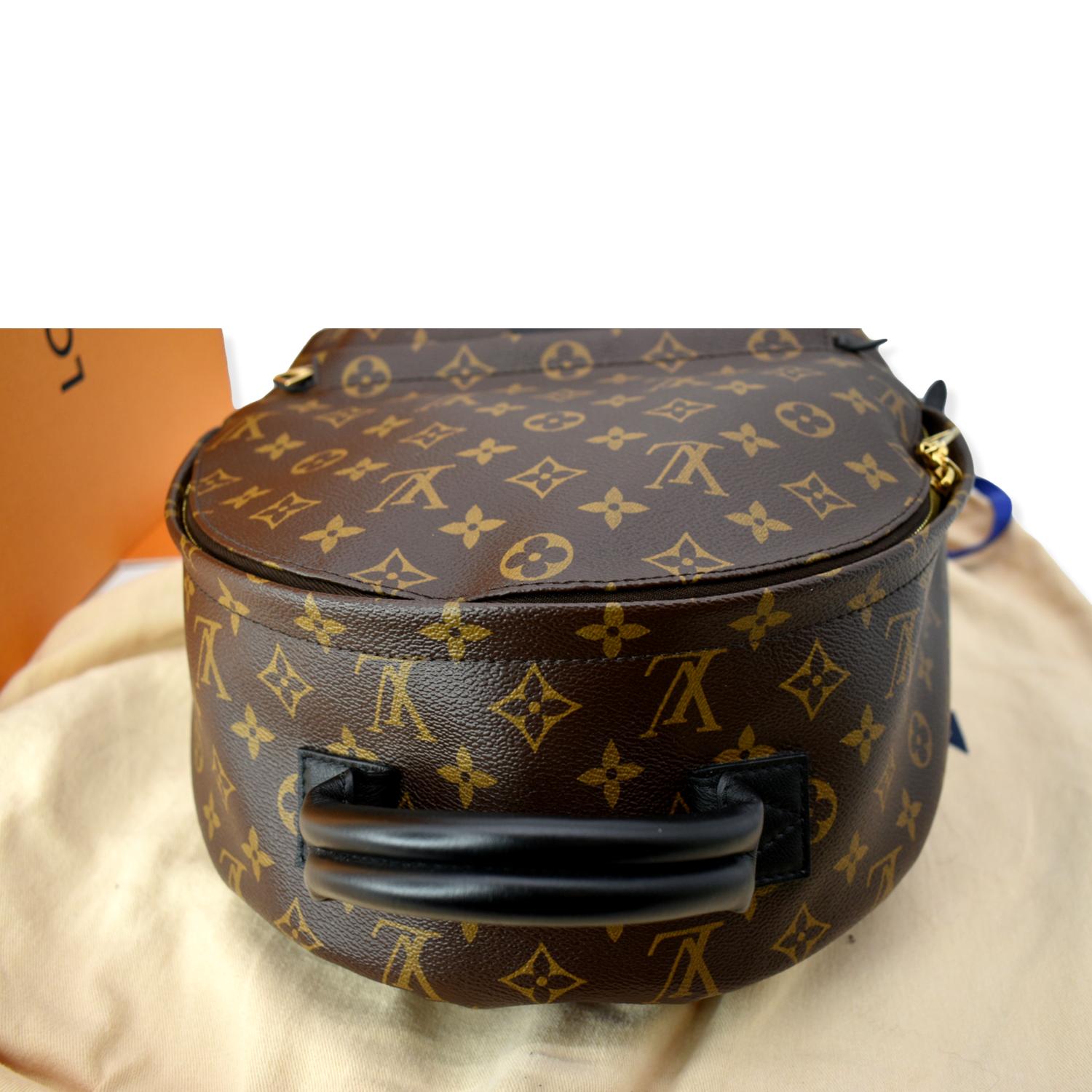 Louis Vuitton Palm Springs Mm in Brown