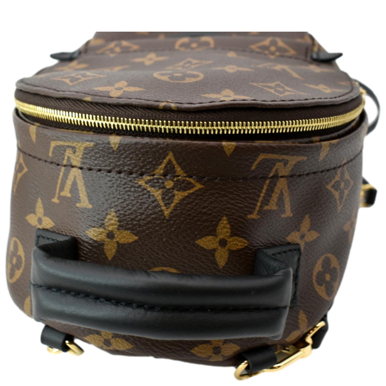 Brown Louis Vuitton Monogram Mini Palm Springs Backpack – Designer Revival