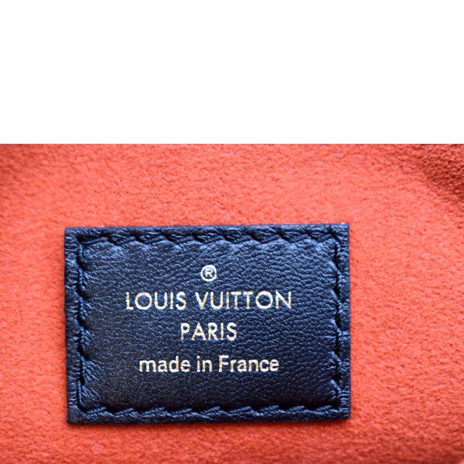 Shop Louis Vuitton Unisex Blended Fabrics Decorative Pillows (M78816,  M78815, M77525) by babybbb