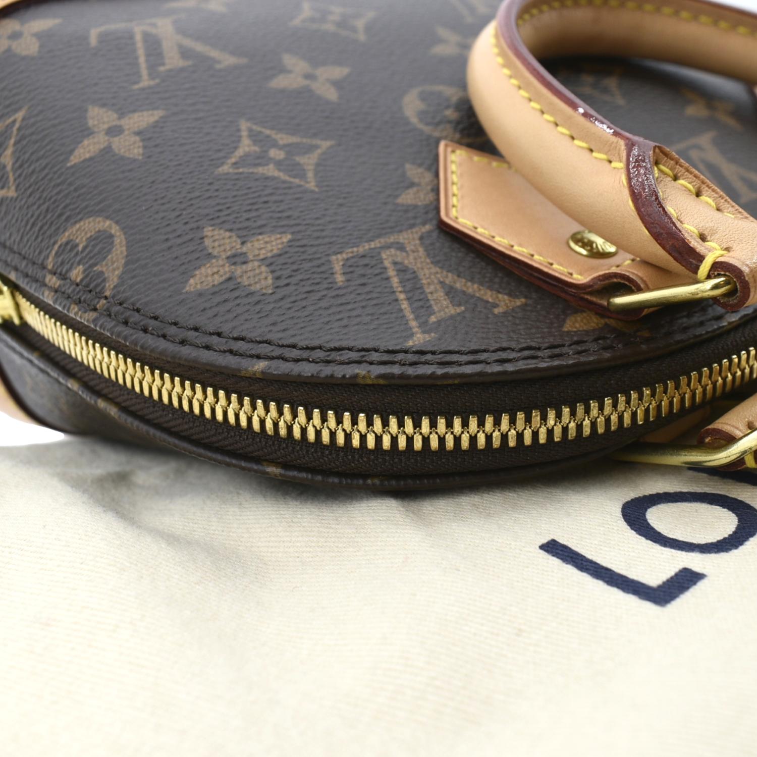 Louis Vuitton Monogram Egg Bag