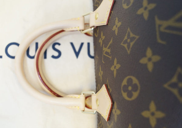 LOUIS VUITTON Monogram Canvas Speedy 25 Satchel Bag