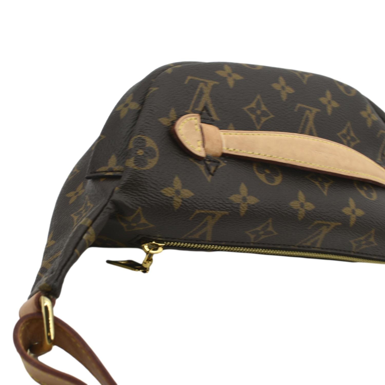 Louis Vuitton Monogram Bumbag - Brown Waist Bags, Handbags - LOU797857