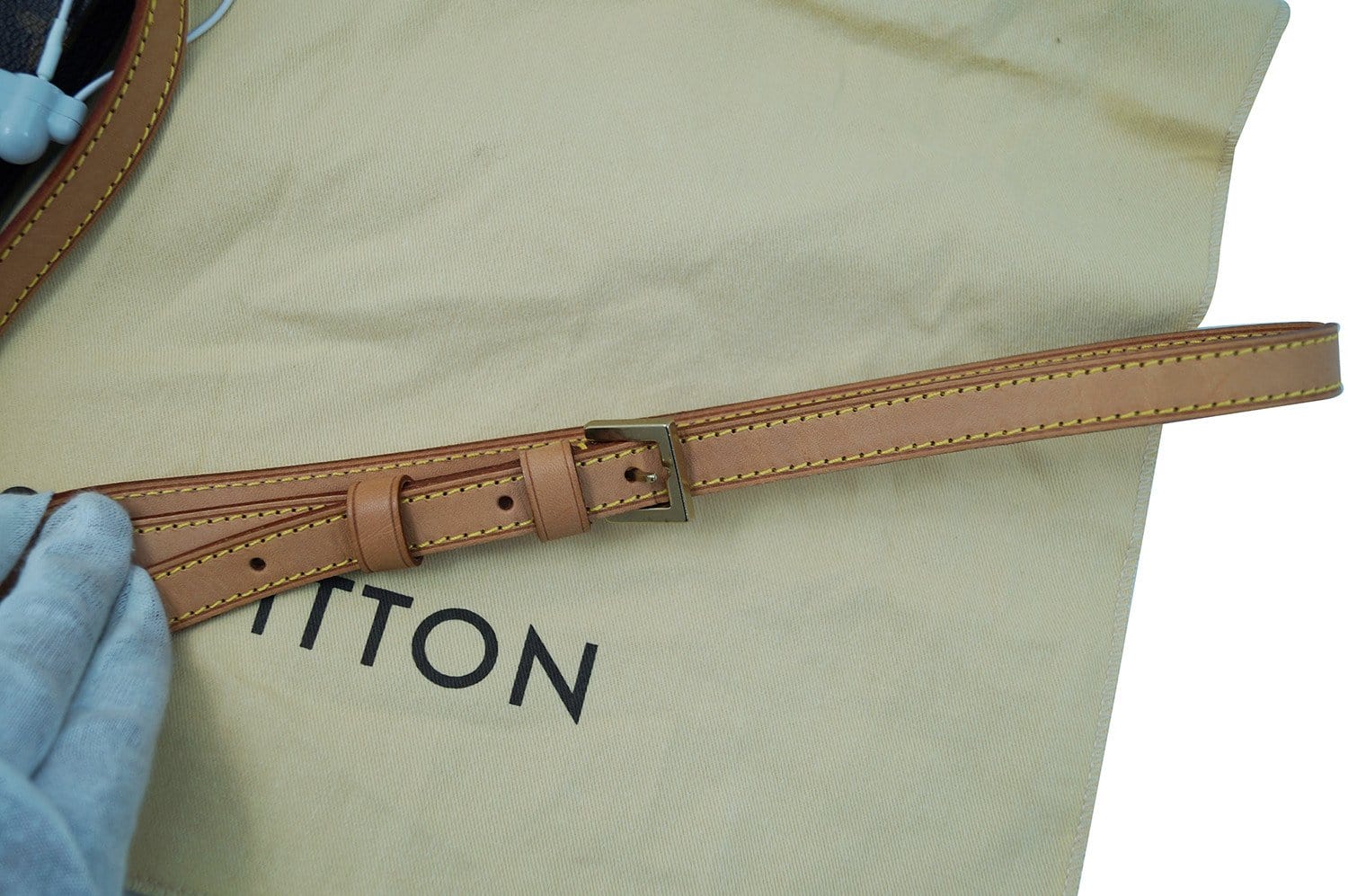 Louis Vuitton VVN Shoulder Strap