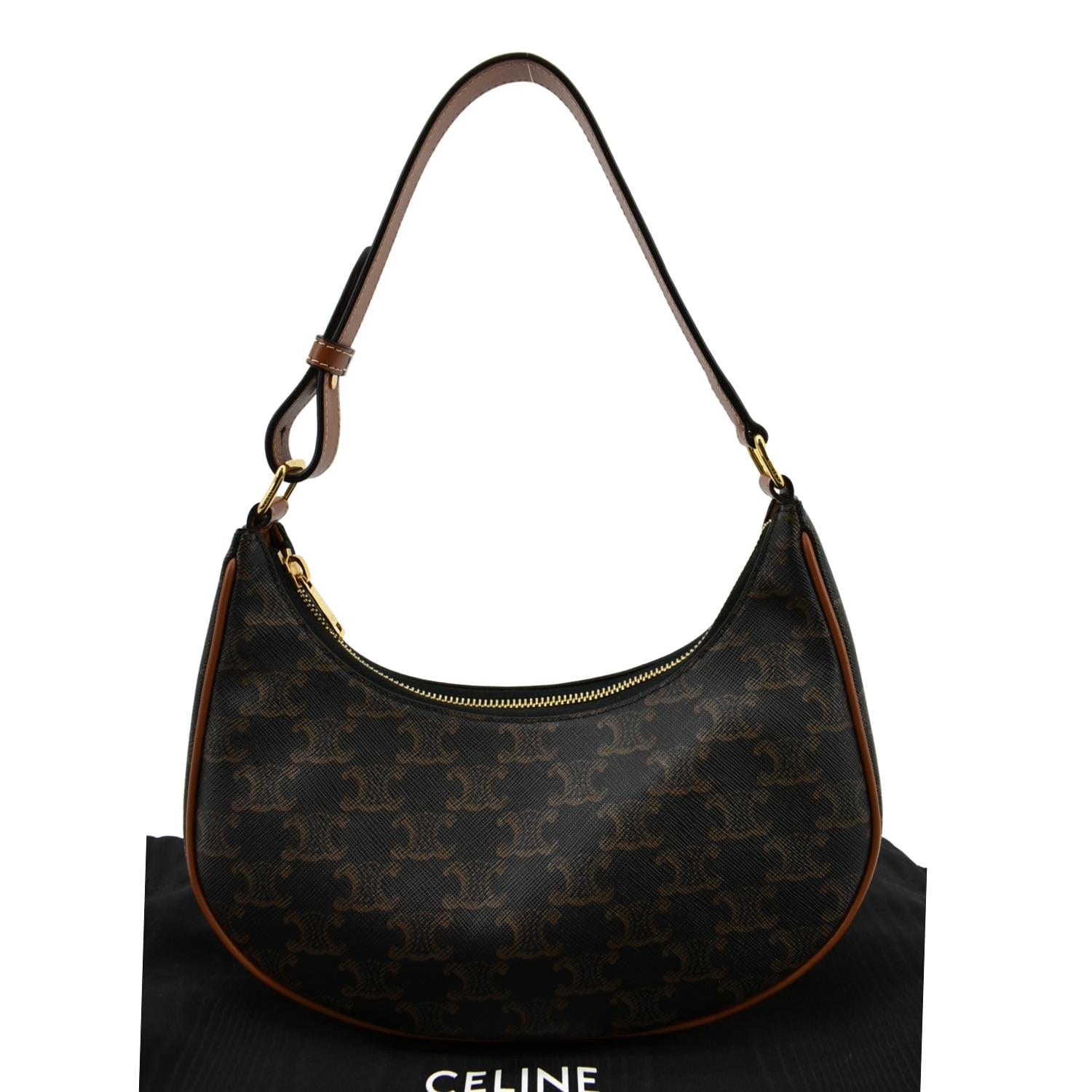 CELINE's Ava Triomphe Bag is Lisa Approved