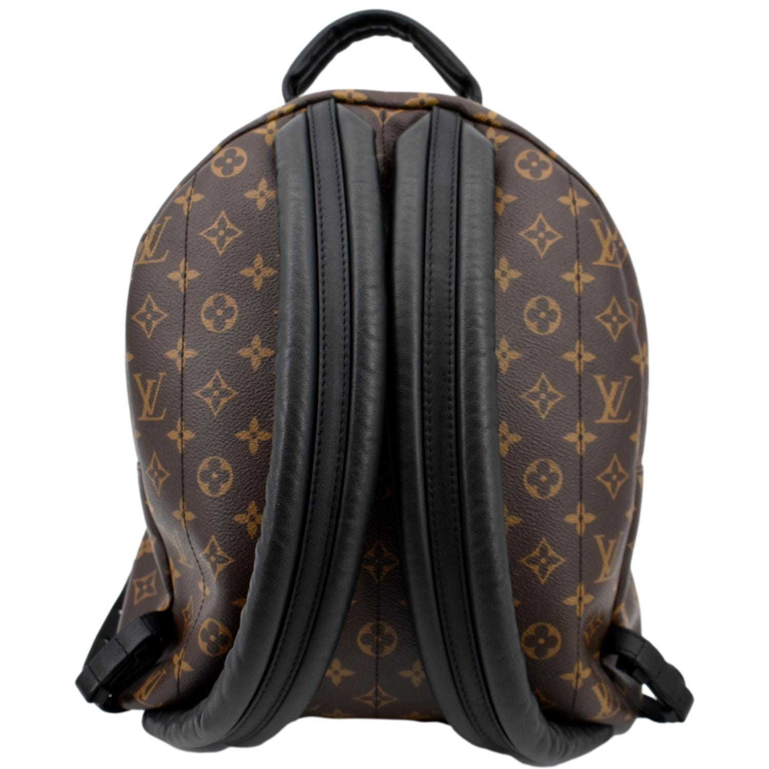 Louis Vuitton Palm Springs Backpack MM Monogram
