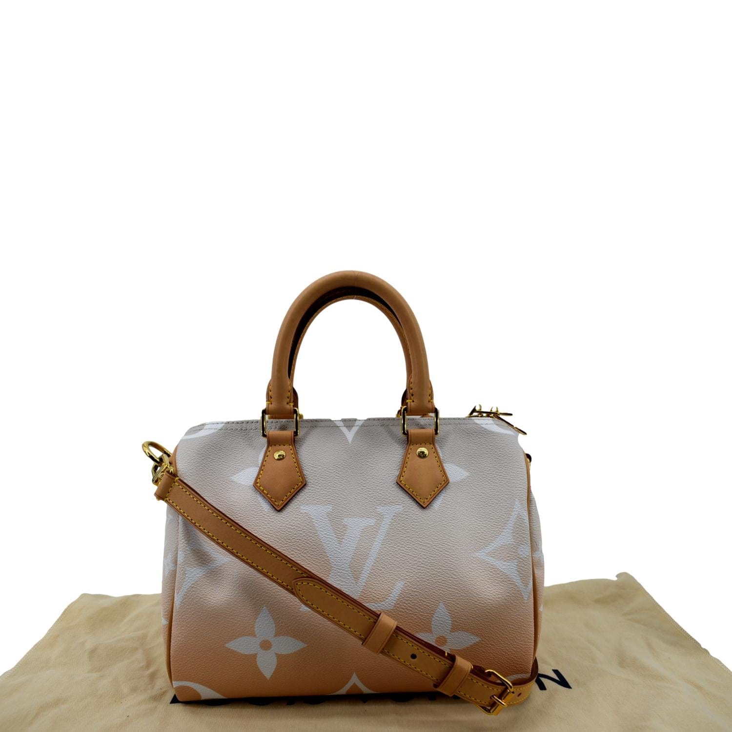 Louis Vuitton Speedy 25 Bandouliere By The Pool Brume Mist Gray NEW IN BOX