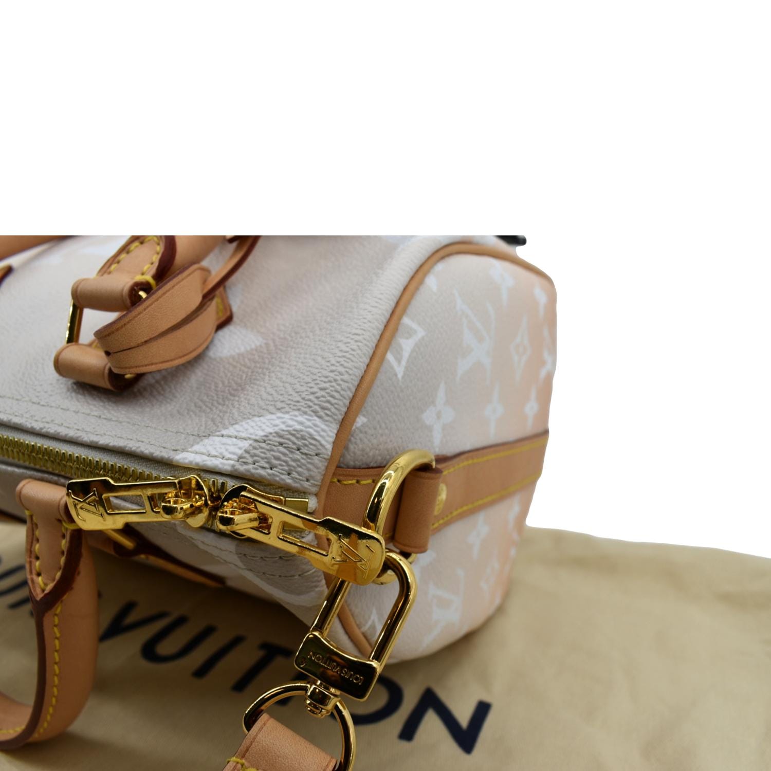 Louis Vuitton Speedy 25 Bandouliere By The Pool Brume Mist Gray