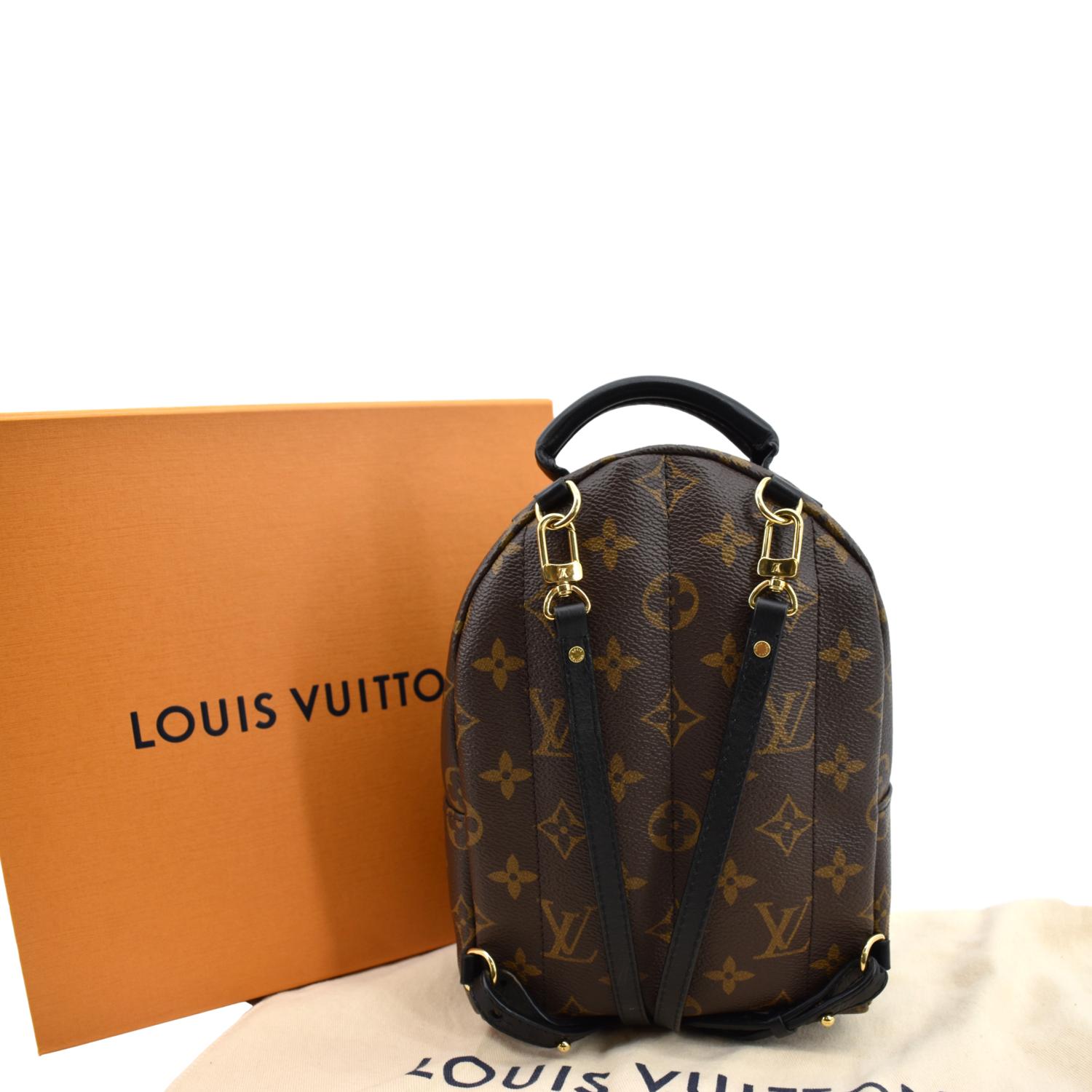 Louis Vuitton Palm Springs Mini Monogram Canvas Bag