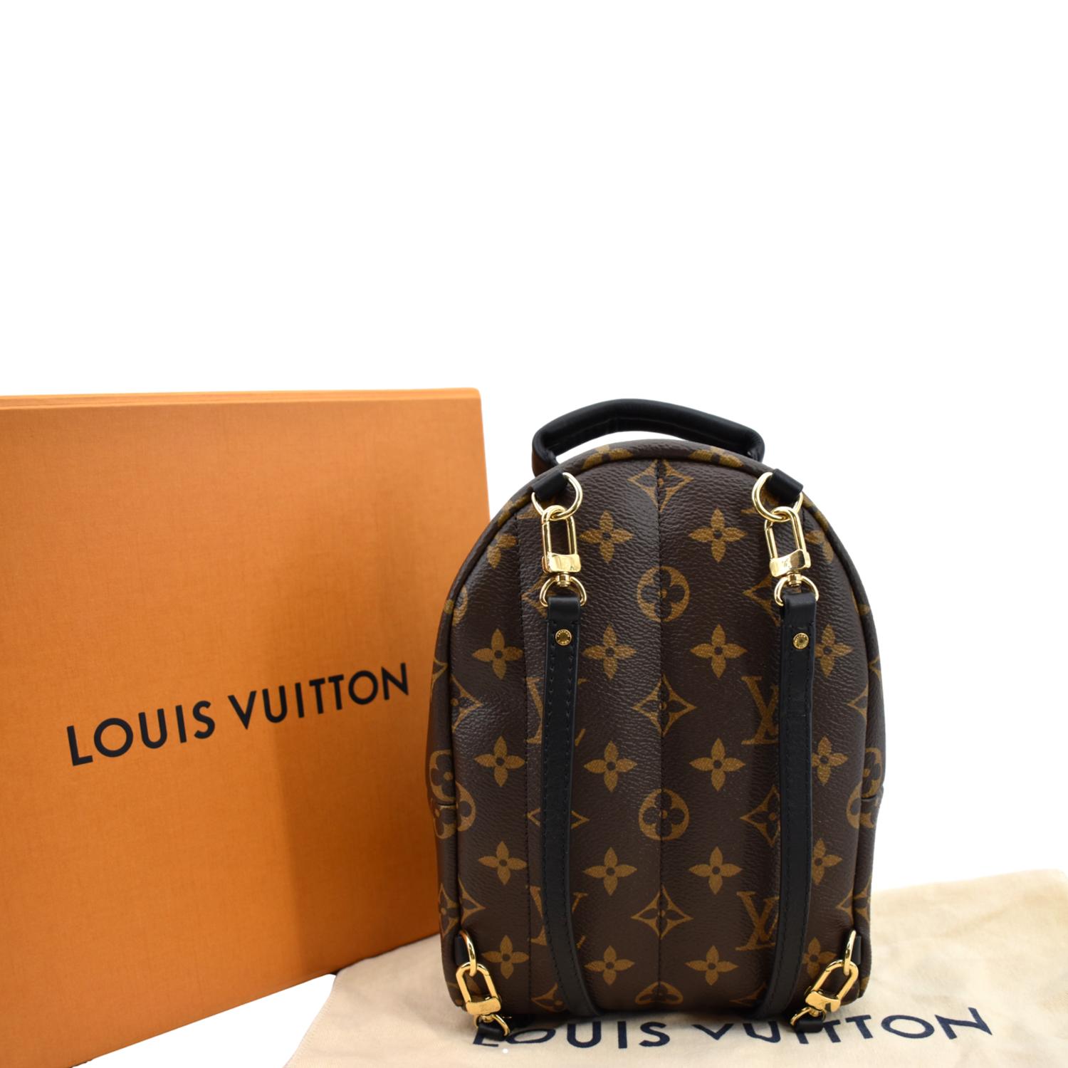 17 Ways To Wear Louis Vuitton Palm Springs Mini Backpack 
