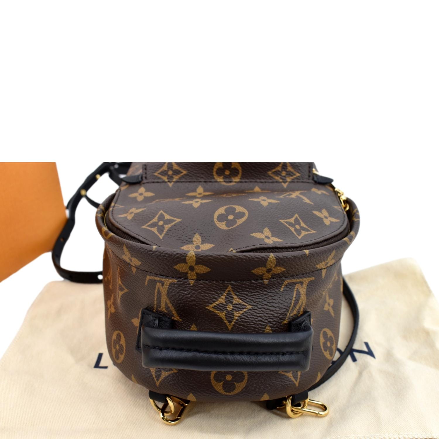 Louis Vuitton - NEW Palm Springs Mini - Brown Backpack / Crossbody