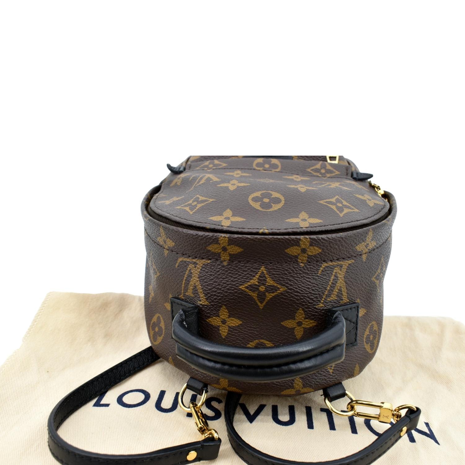 Louis Vuitton, Bags, Louis Vuitton Palm Mini Backpack