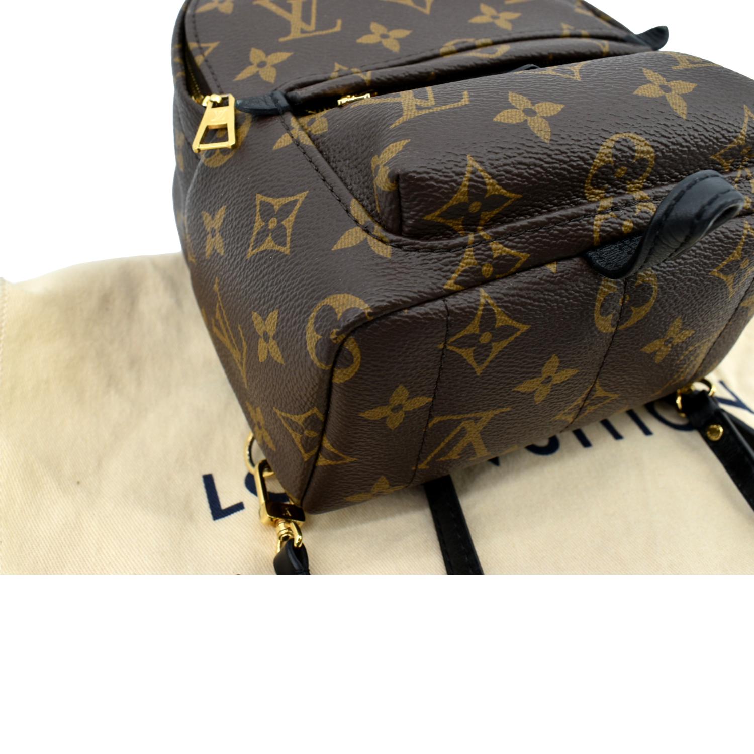 Louis Vuitton Palm Springs Backpack Mini M41562