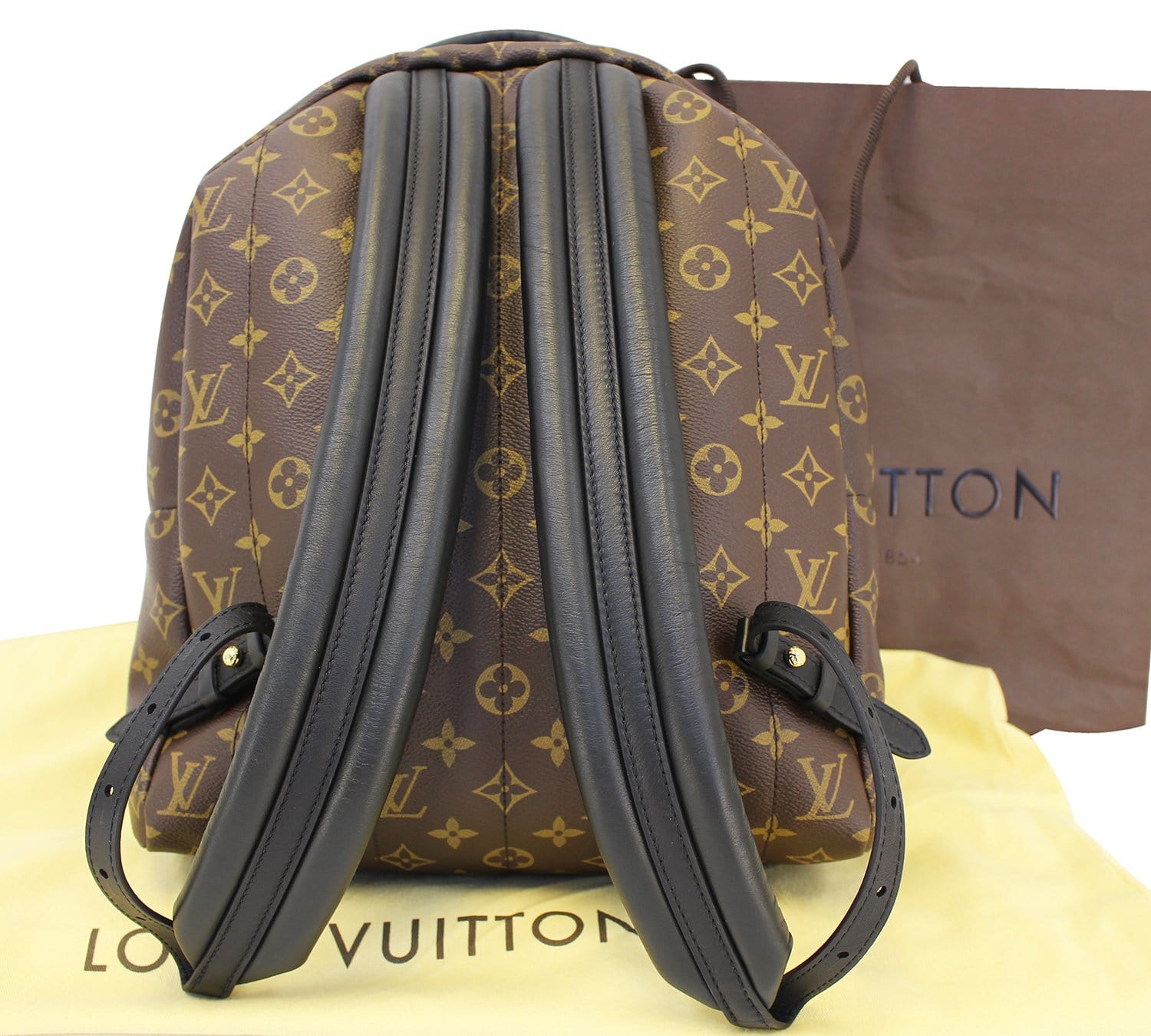 Louis Vuitton Palm Springs Backpack MM at 1stDibs