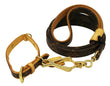 LOUIS VUITTON Monogram Collier Baxter PM Leash Baxter GM